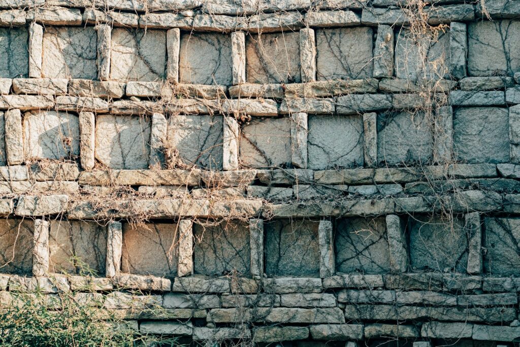 a wall made of bricks with vines growing on it